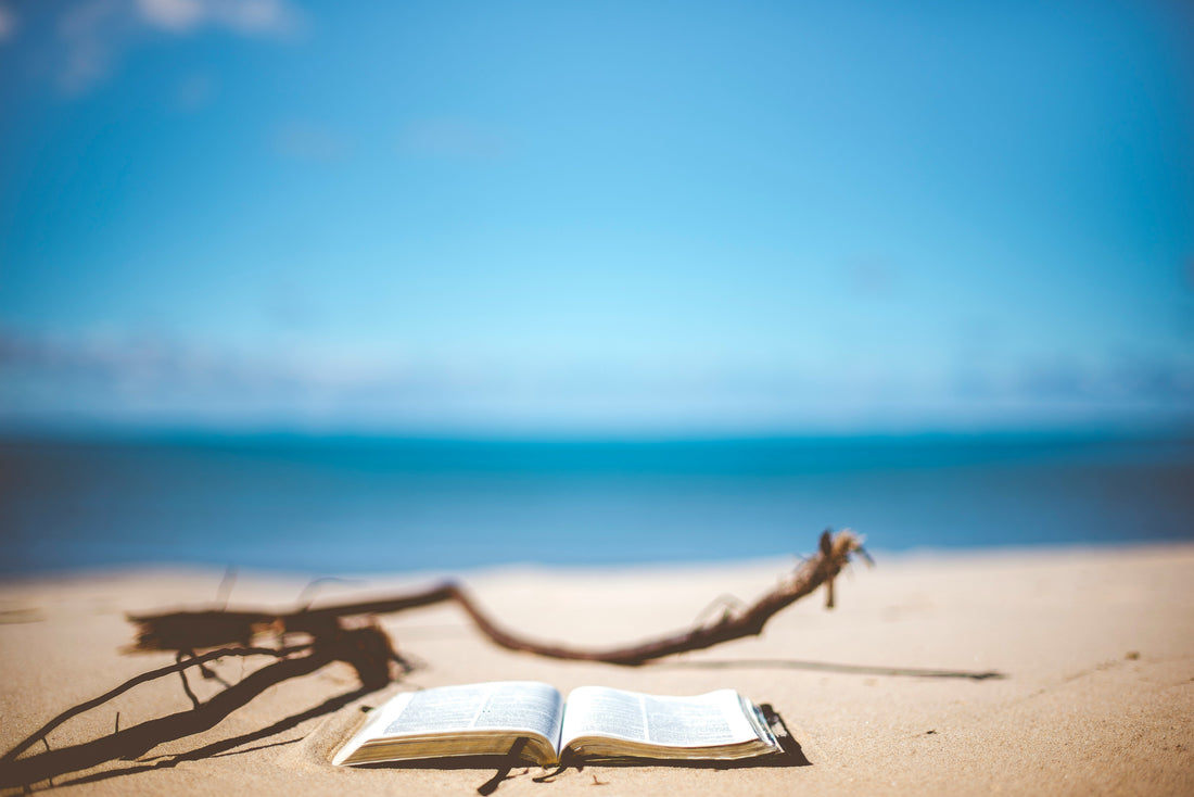 KellerINK's Summer Reading Recommendations