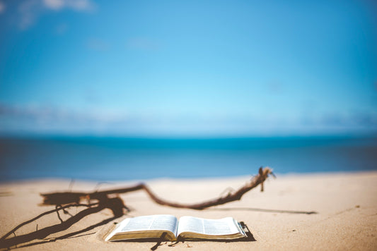 KellerINK's Summer Reading Recommendations