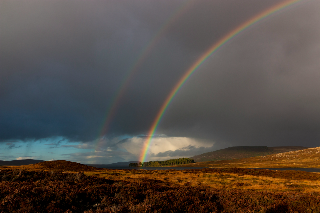Surviving the Storm: Get Your Mindset Right