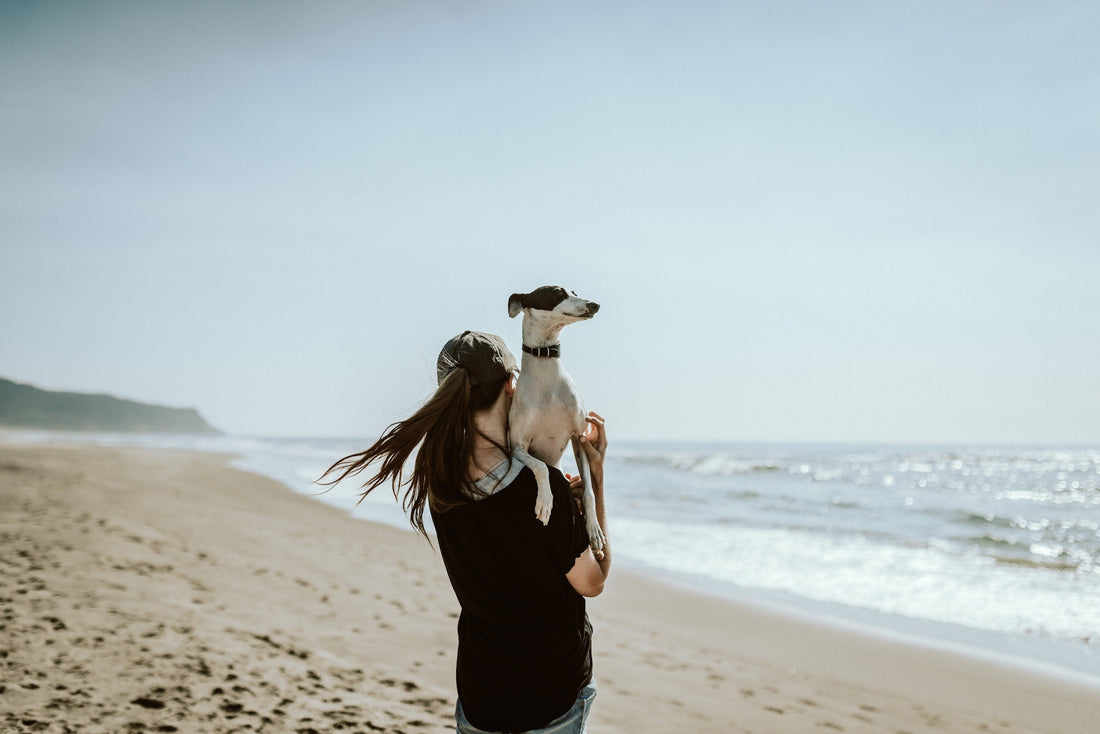5 Ways To Keep Your Stress In Check