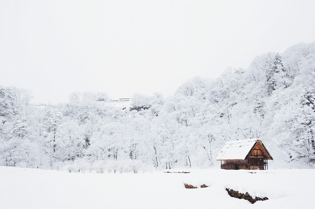 Build the Perfect Winter Bunker