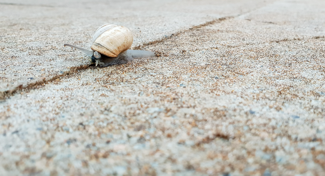 Learning to Be Resilient – Part Three