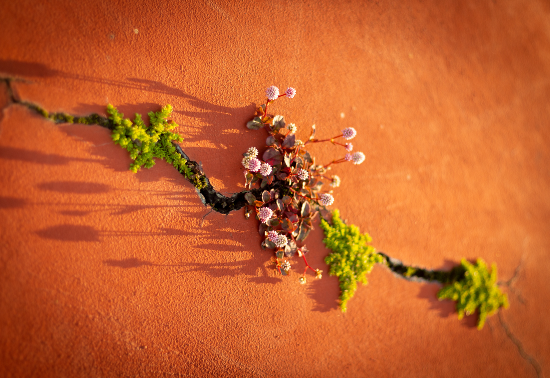 Learning To Be Resilient — Part 1