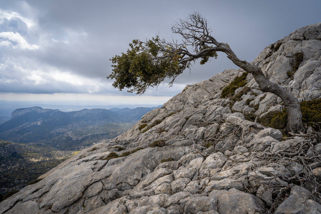 Learning To Be Resilient – Part Two