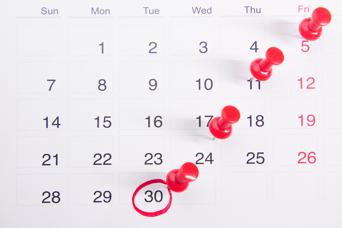 Learn How to Learn: Create Your 2024 Training Calendar