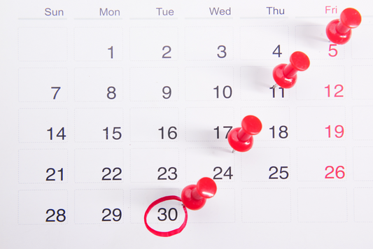 Learn How to Learn: Create Your 2024 Training Calendar